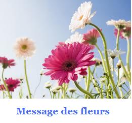 Messages des 
 fleurs